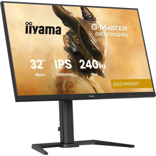 Monitor IIYAMA 80,0 cm (31,5