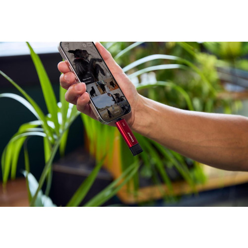 KINGSTON FLASH 2TB Dual USB-A/C USB 3.2 Gen 2-21662700