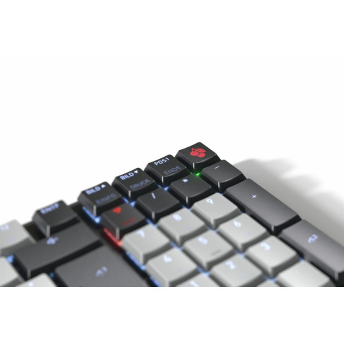 Klawiatura CHERRY TAS KW 550 MX LED Low Profile TKL DE-21663628