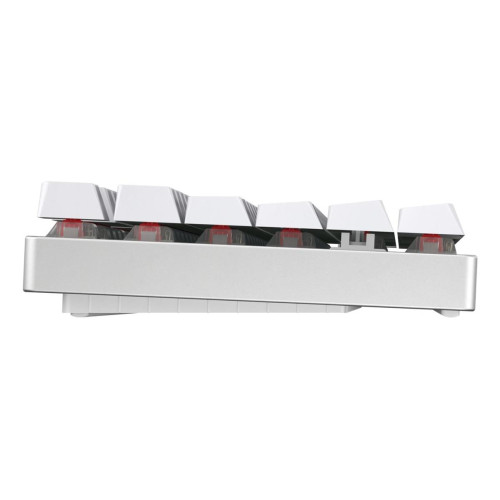 CHERRY MX 8.2 - XAGA Edition - Klawiatura - 80% - TKL - Podświetlenie - Bezprzewodowe - Bluetooth 5.2, 2.4 GHz, USB-C -