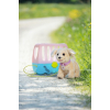 Interaktywny piesek Labrador Lucky na smyczy Baby Born-21768687