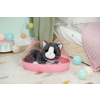 Maskotka interaktywna Baby Born Mój Kot Cookie z pudełkiem-21768693