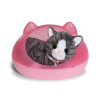 Maskotka interaktywna Baby Born Mój Kot Cookie z pudełkiem-21768694