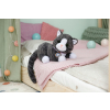 Maskotka interaktywna Baby Born Mój Kot Cookie z pudełkiem-21768695