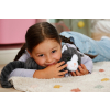 Maskotka interaktywna Baby Born Mój Kot Cookie z pudełkiem-21768704