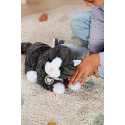 Maskotka interaktywna Baby Born Mój Kot Cookie z pudełkiem-21768702