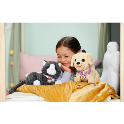 Maskotka interaktywna Baby Born Mój Kot Cookie z pudełkiem-21768705