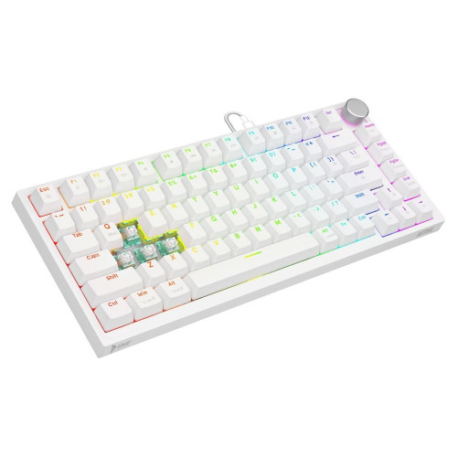 SAVIO KLAWIATURA MECHANICZNA ASTRAL WHITE OUTEMU WHITE JADE RGB-21911518