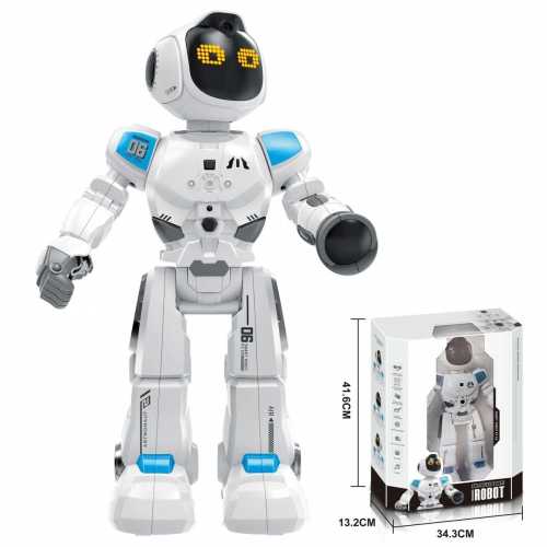 Robot R/C-21979282