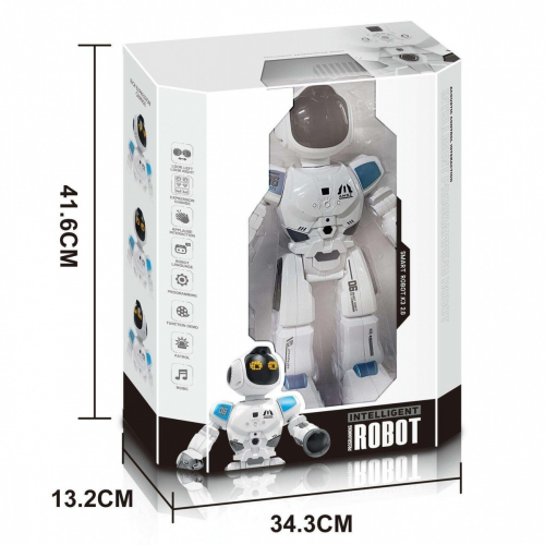 Robot R/C-21979283