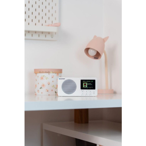 Radio przenośne BLAUPUNKT DAB DR6WH, biały-22050783