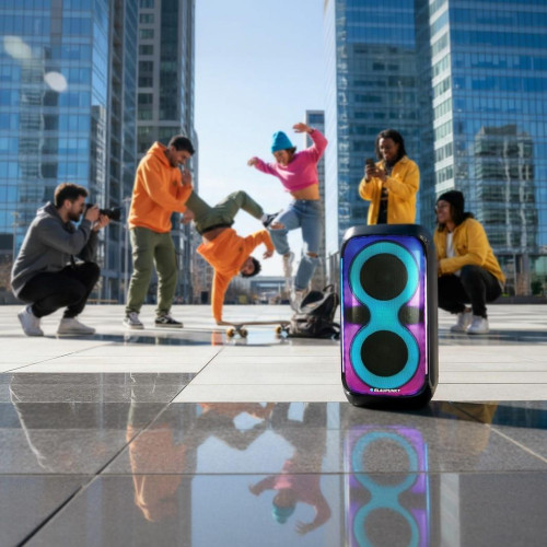 System audio BLAUPUNKT PB60X-22052171