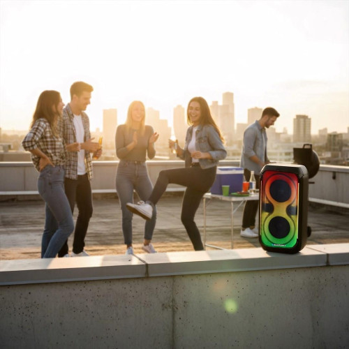 System audio BLAUPUNKT PB60X-22052176