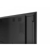 Monitor 65 cali QM-6502 4K UHD IPS 400cd/m2 4000:1-22429801