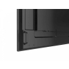Monitor 65 cali QM-6502 4K UHD IPS 400cd/m2 4000:1-22429805