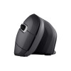 Mysz TRUST Verro Ergonomic Wireless Mouse-22547774