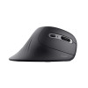 Mysz TRUST Verro Ergonomic Wireless Mouse-22547777