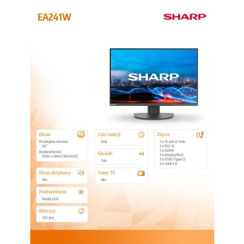 Monitor biznesowy MultiSync DD-EA241W 24 cale Czarny-22632375