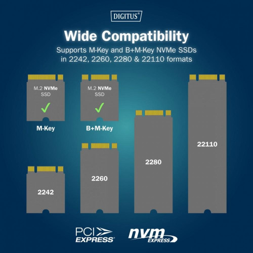 Stacja dokująca dysków z funkcją klonowania | USB-C 3.2 Gen2 10Gbps | SSD M.2 NVMe (max. 2x 4TB) | Funkcja Offline Cl