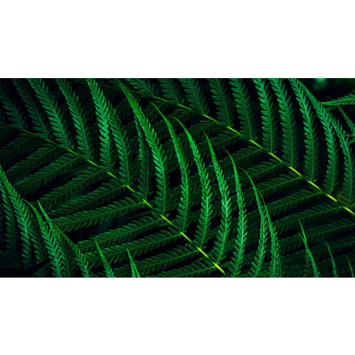 Philips 5000 series 24B2G5200/00 monitor komputerowy 60,5 cm (23.8