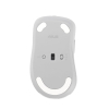 ASUS Wireless Mouse MD102 myszka Uniwersalne Po prawej stronie RF Wireless + Bluetooth Optyczny 1600 DPI-23075761