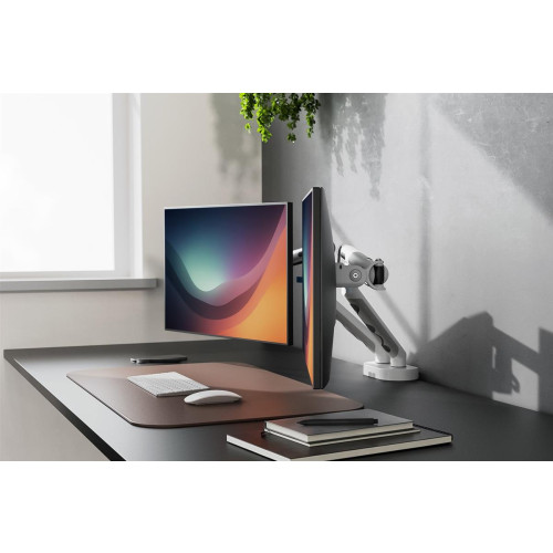 Digitus Podwójne mocowanie monitora, 2x 35