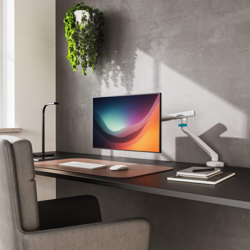 Digitus Pojedynczy uchwyt do monitora, 35