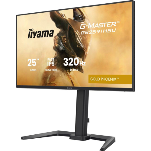 iiyama G-MASTER GB2591HSU-B1 monitor komputerowy 62,2 cm (24.5