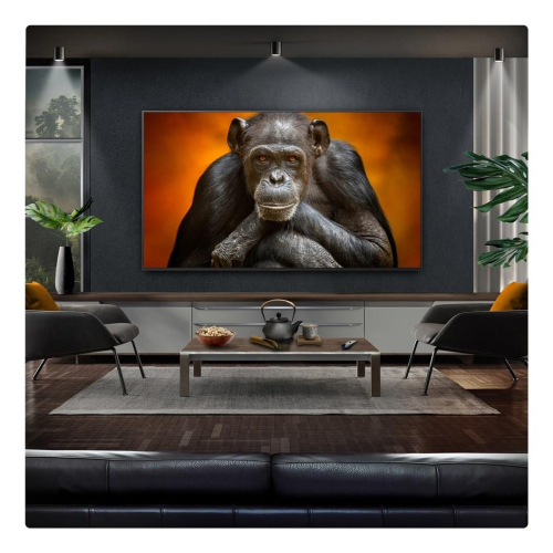 Telewizor LG OLED65G54LW OLED EVO 65