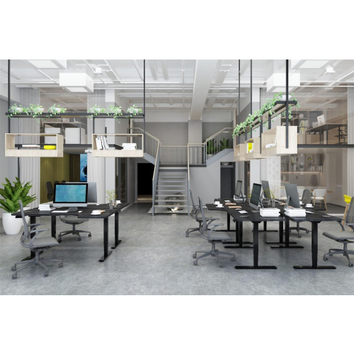 Digitus Elektrycznie regulowany stelaż stołu, dwa silniki, 3-stopniowy, kolor czarny-23091425