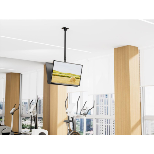 Equip 650377 uchwyt do telewizorów 2,18 m (86