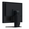 Monitor EIZO FlexScan S2134 - 54,1 cm (21,3