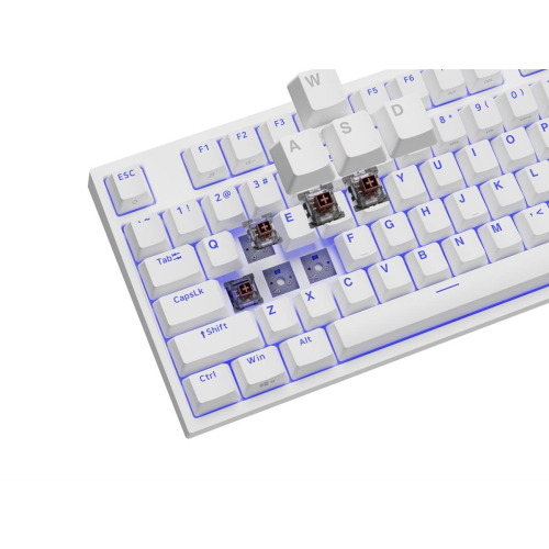 GENESIS Thor 404 TKL klawiatura Gaming USB QWERTY Amerykański międzynarodowy Biały-23245436