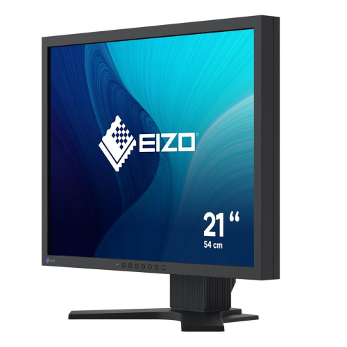 Monitor EIZO FlexScan S2134 - 54,1 cm (21,3