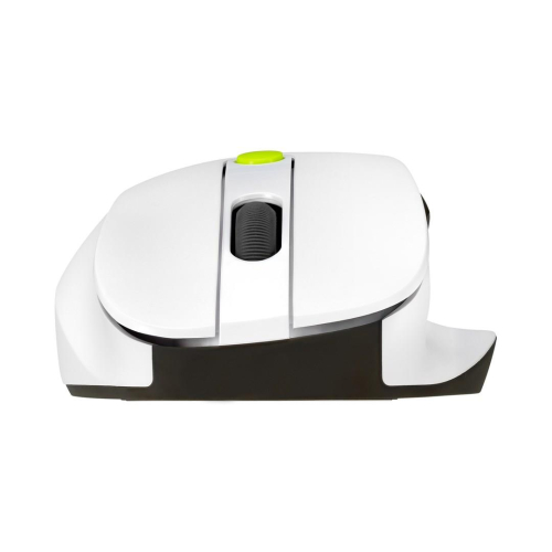 ASUS MD105 MOUSE/VT-GN myszka Uniwersalne Po prawej stronie RF Wireless + Bluetooth 2400 DPI-23263761