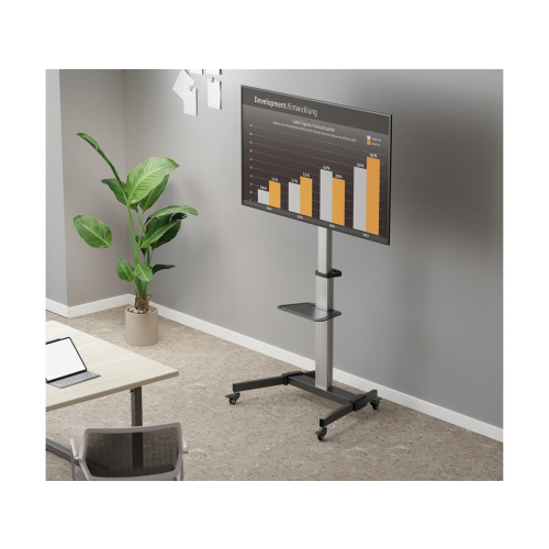 Equip 650630 uchwyt do telewizorów 2,18 m (86