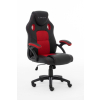 Raptor Gaming 437764 fotel do gry Fotel dla gracza Obite siedzisko Czarny, Czerwony-23385566