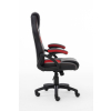 Raptor Gaming 437764 fotel do gry Fotel dla gracza Obite siedzisko Czarny, Czerwony-23385567