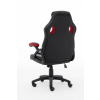 Raptor Gaming 437764 fotel do gry Fotel dla gracza Obite siedzisko Czarny, Czerwony-23385570