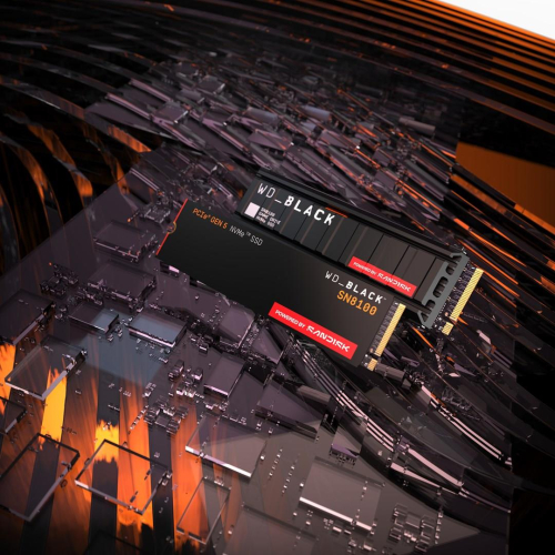 SSD WD Black SN8100 w/o HS 1TB WDS100T1X0M-23386443