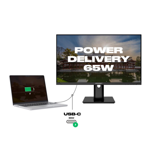 Japońska kamera japońska 60,5 cm JN-IPS238FHDR-C65W-HSP 16:9 HDMI/DP FHD-23399304