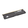 Patriot Premium Black DDR5 12GB 5600MHz Radiator 1Rank