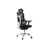 Equip Ergonomischer BĂĽrostuhl+Kopf/ArmstĂĽtzen+SFS schwarz lite Retail-23453217