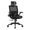 COUGAR Gaming/Office-Stuhl Speeder One, Mesh, Schwarz-23453259