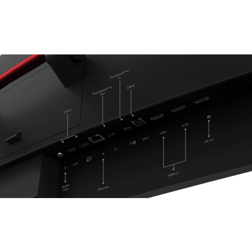 Lenovo ThinkVision P49w-30 monitor komputerowy 124,5 cm (49