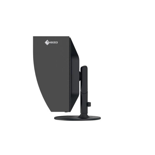 EIZO ColorEdge CG3100X monitor komputerowy 77,5 cm (30.5