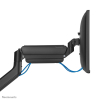 Uchwyt biurkowy do monitora Neomounts DS70PLUS-450BL1 17-49