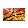 Monitor MultiSync M322 32 cale 24/7