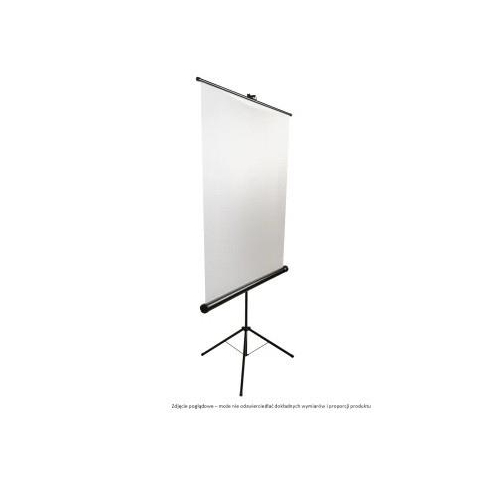 Ekran na statywie Tripod Standard 150 (1:2, 150x150cm, powierzchnia biała, matowa)-24082888
