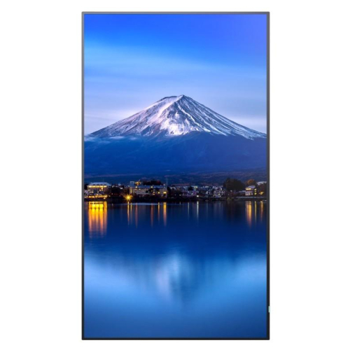 Monitor wielkoformatowy MultiSync P556 55 cali UHD 700cd/m2 24/7-24084931